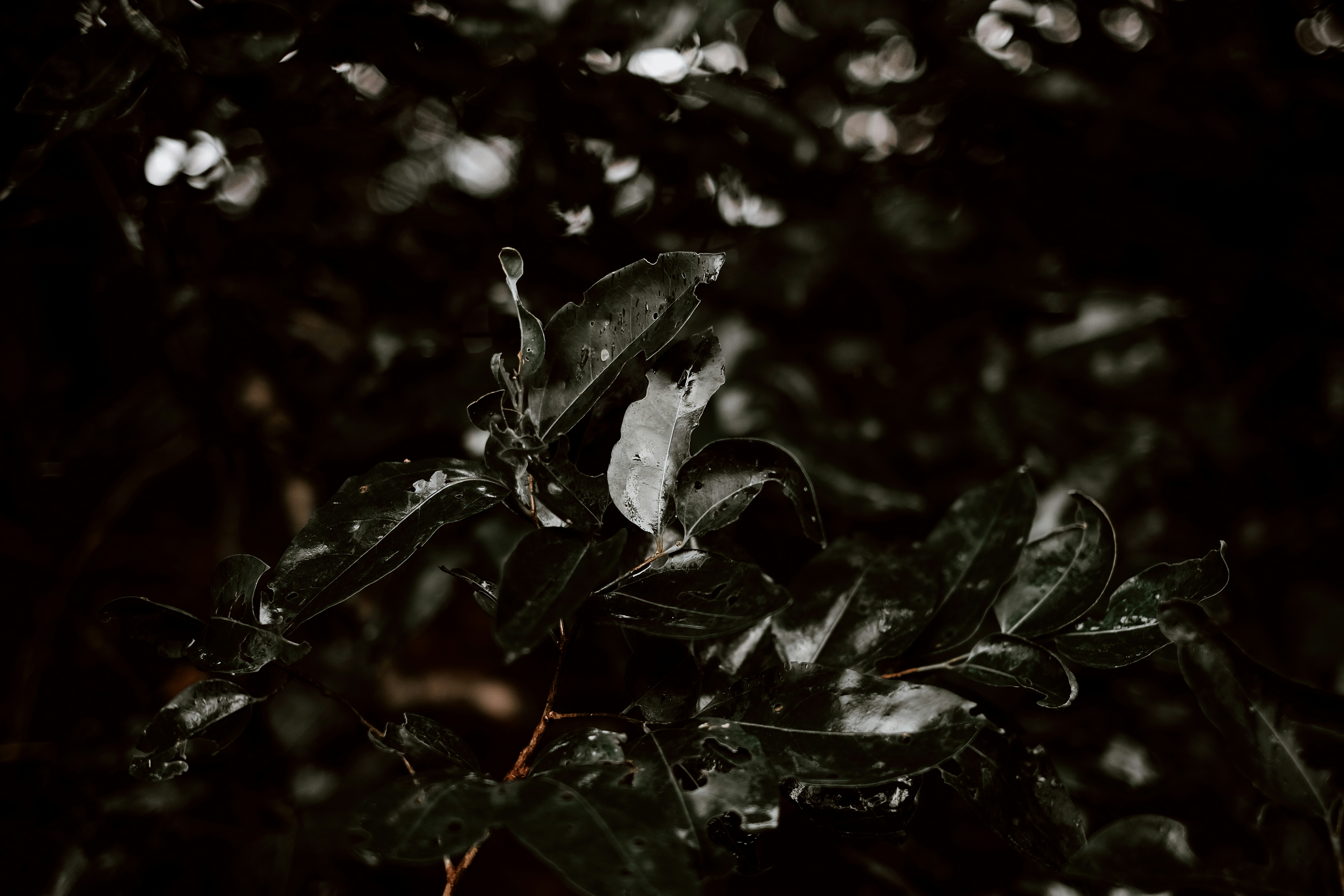 Photo by valeriiamiller