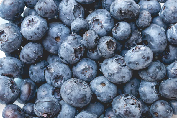 Saftige dunkle Beeren in Nahaufnahme — der Cassis-Nektar in der Kopfnote von Sì von Giorgio Armani, von der Parfümerie Olara