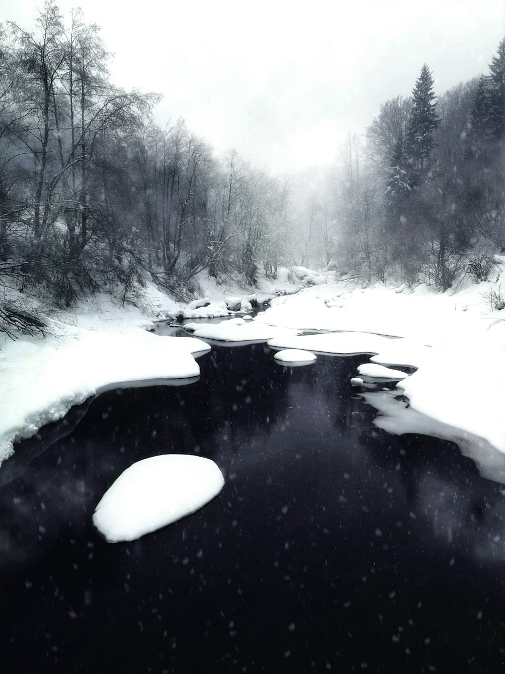 snow covered ground and trees during daytime