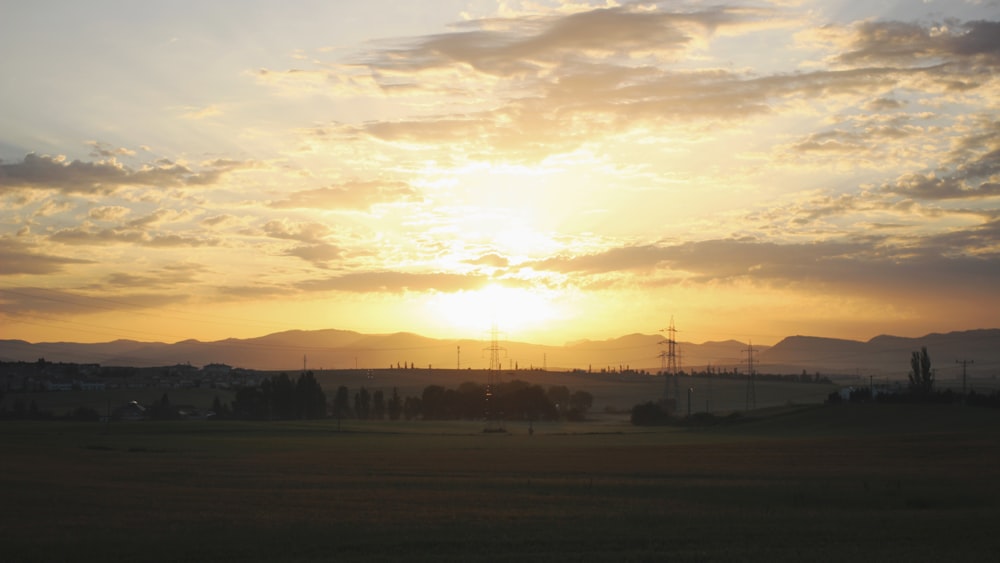 silhouette of trees during sunset