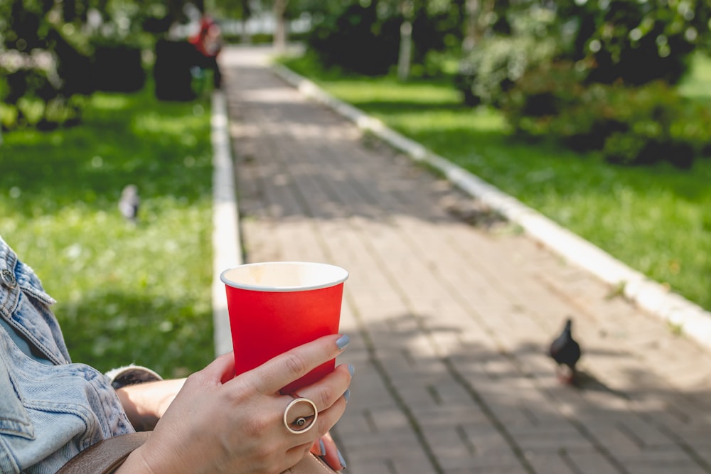 person holding red and white cup