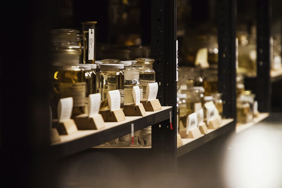 How AI Is Changing Museum and Archive Digitization
