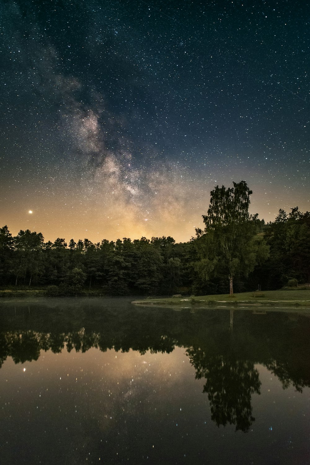 green trees beside lake under blue sky during night time