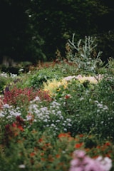 A lush garden filled with colorful flowers and greenery.