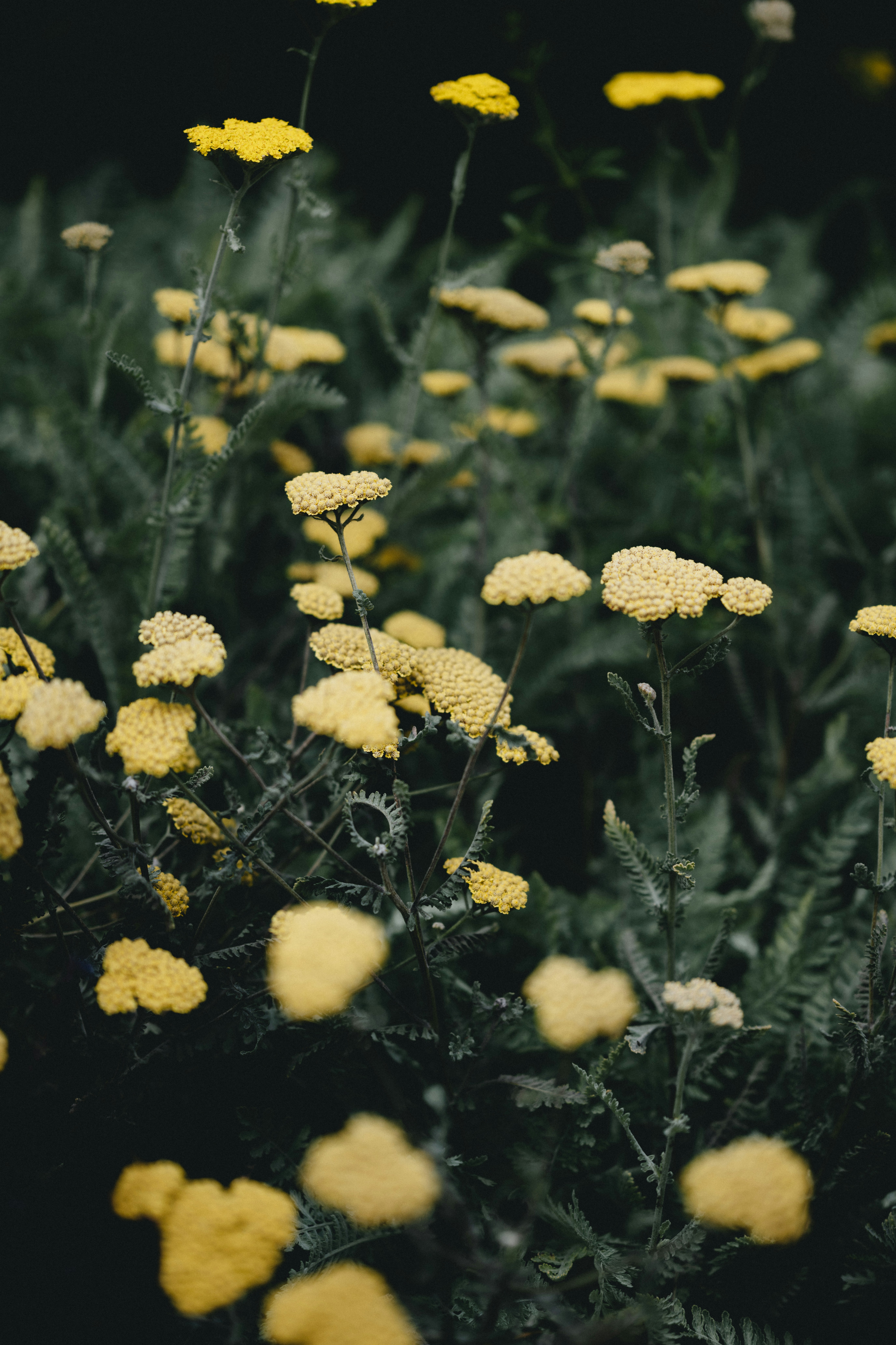 Photo by anniespratt