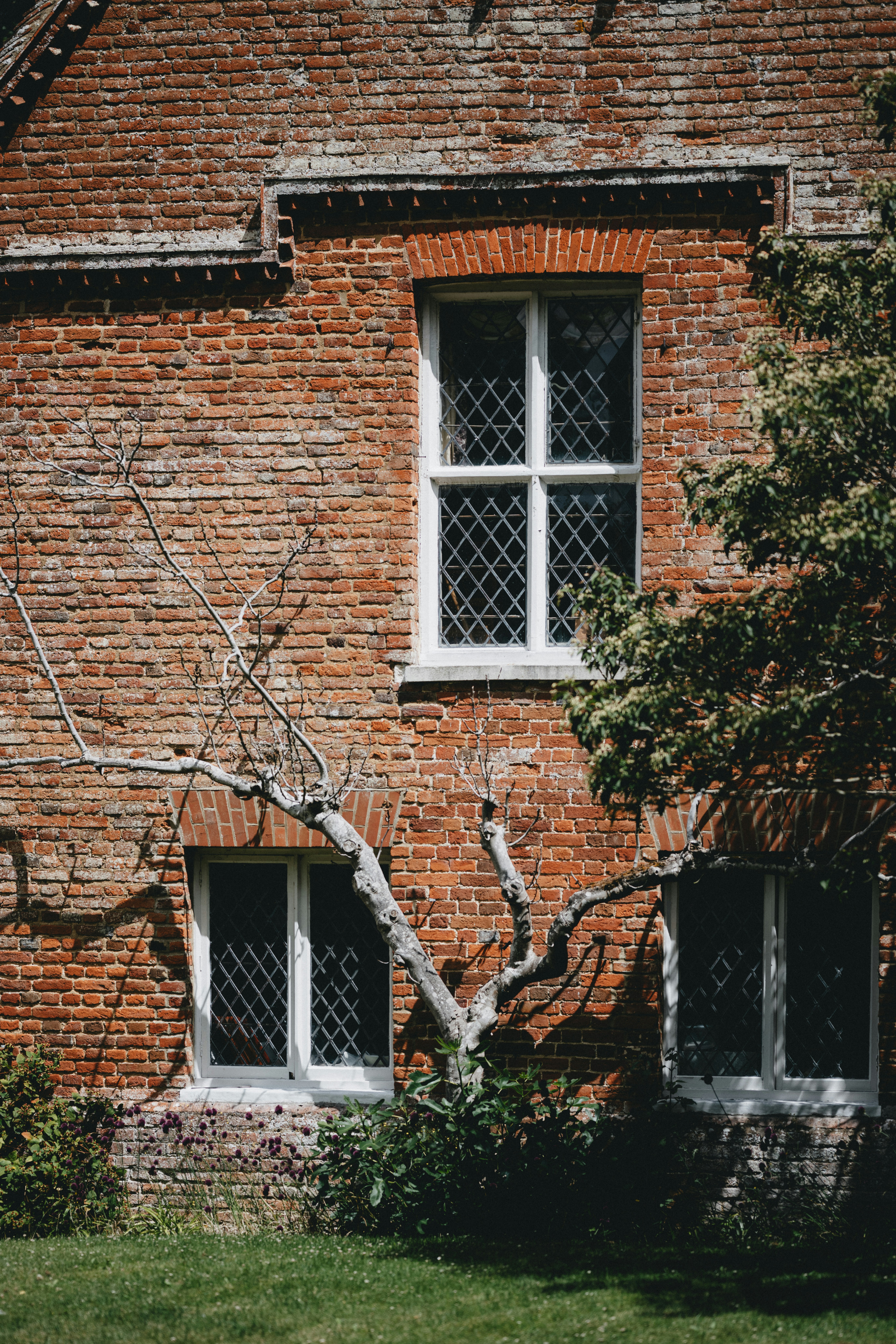 Photo by anniespratt