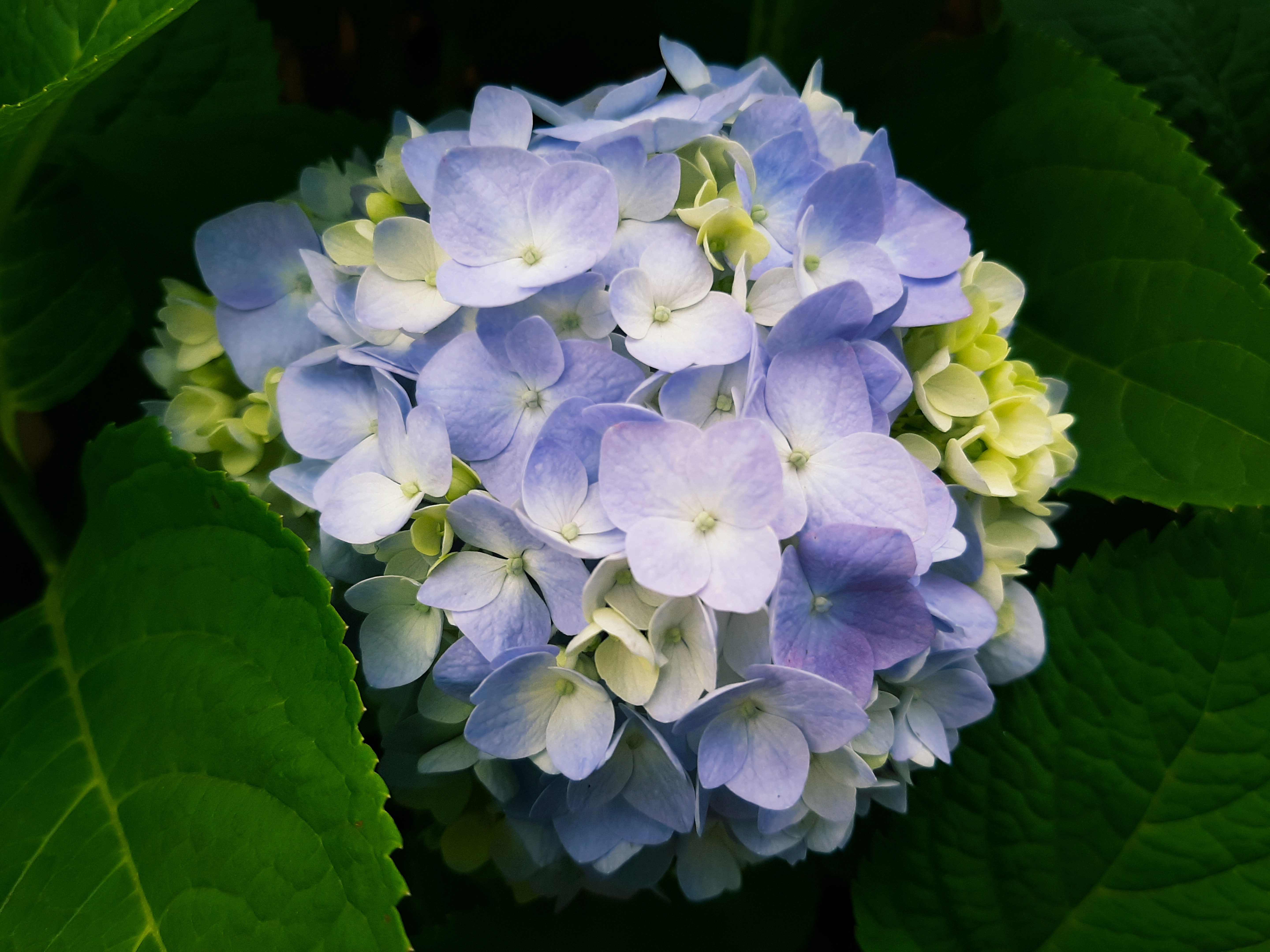 Photo by tatiannavoiset