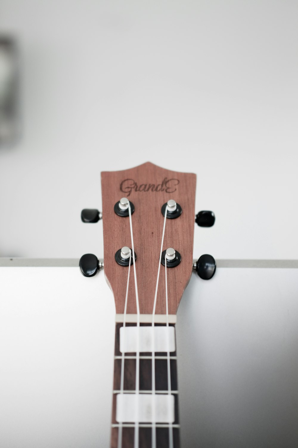 brown and white guitar head stock