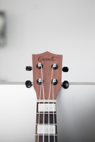 Close-up view of a guitar headstock with strings, tuning pegs, and a wooden finish. The brand name is visible on the headstock against a plain, light-colored background.