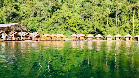 brown wooden houses on green lake during daytime in Khao Sok National Park Thailand