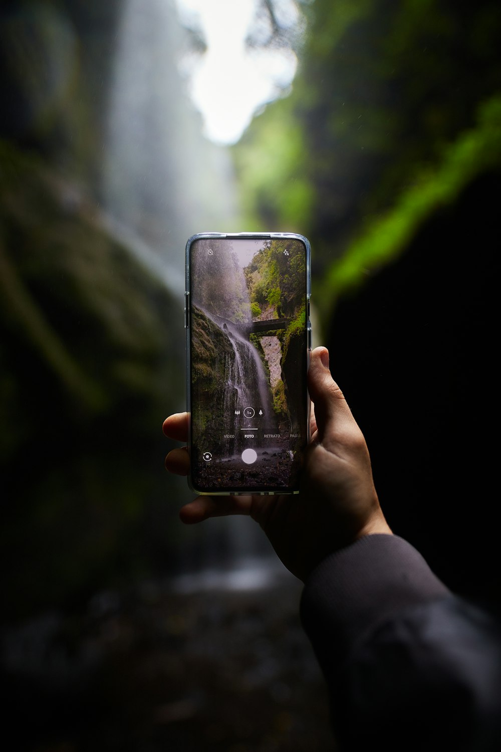 Persona che tiene lo smartphone nero che scatta foto di alberi verdi durante il giorno