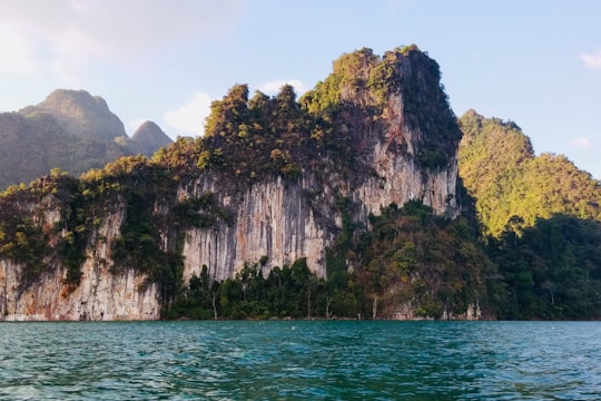 None in Khao Sok National Park Thailand