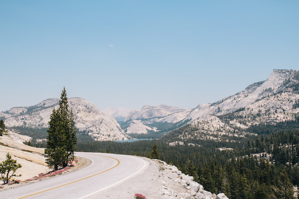 gray concrete road between green trees and snow covered mountains during daytime