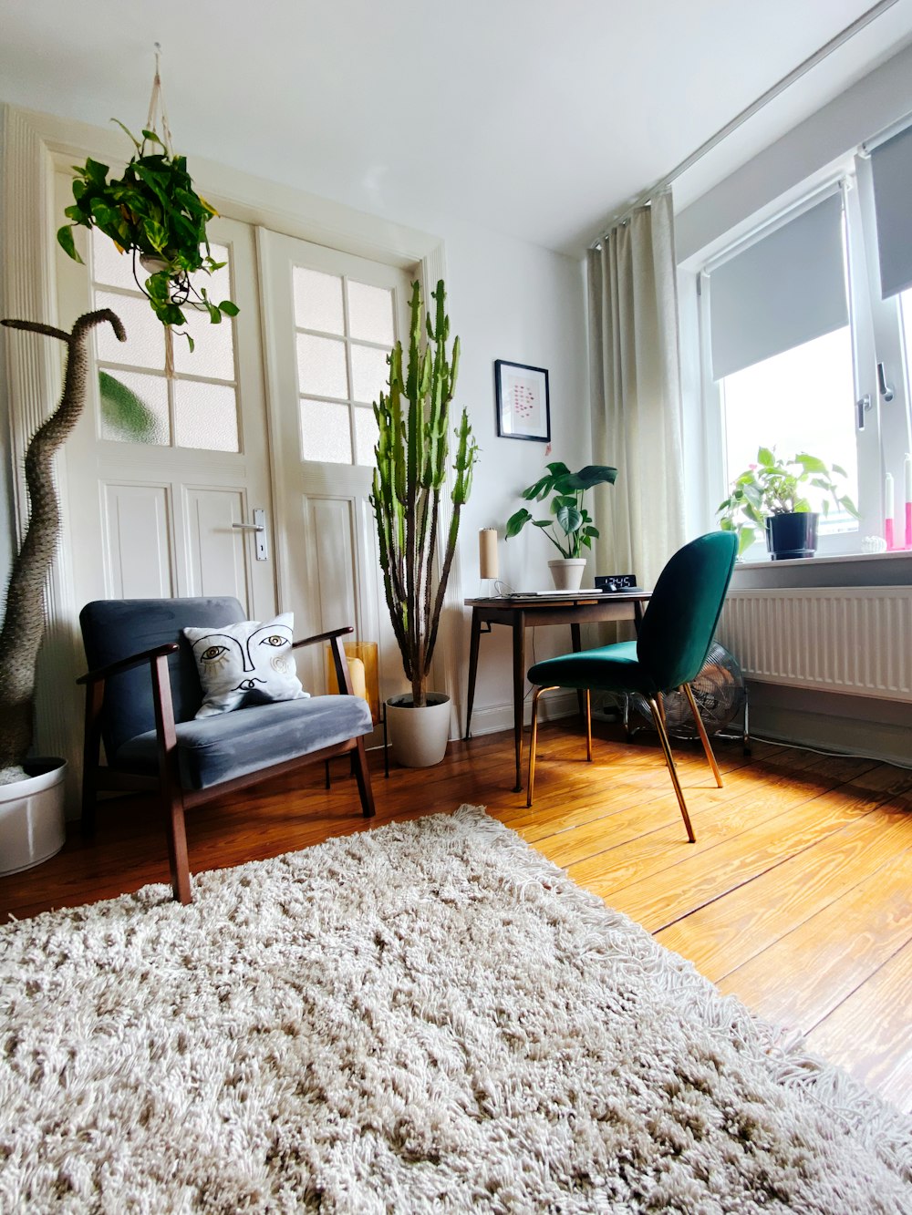 green potted plant on brown wooden table