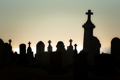 silhouette of people standing on top of building during sunset