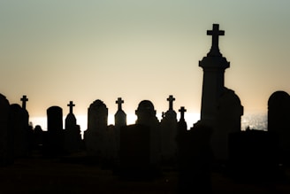 silhouette of people standing on top of building during sunset