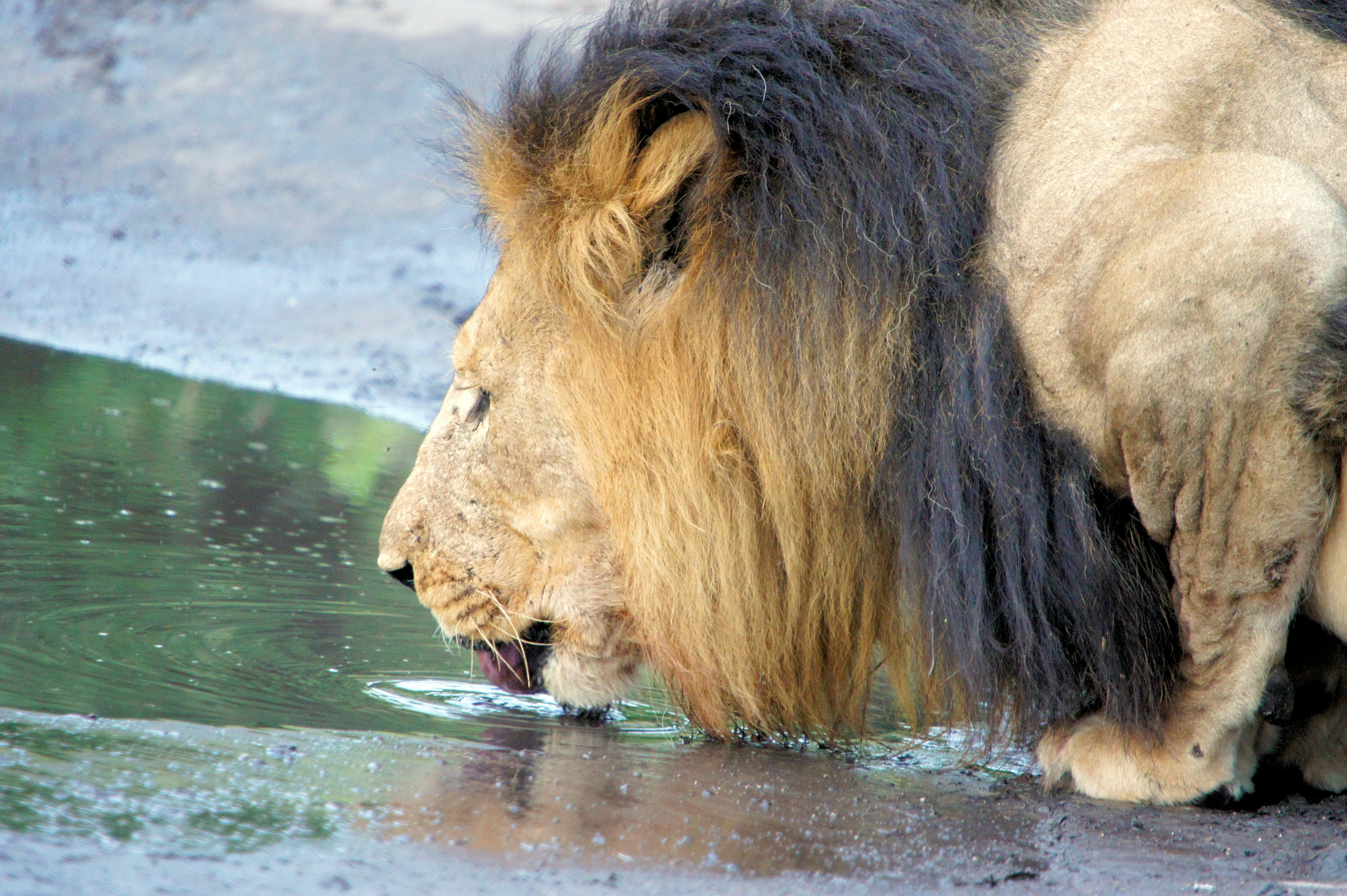 Fear of the Unfamiliar (image credits: unsplash)