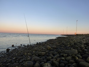 Block to Dock Tee