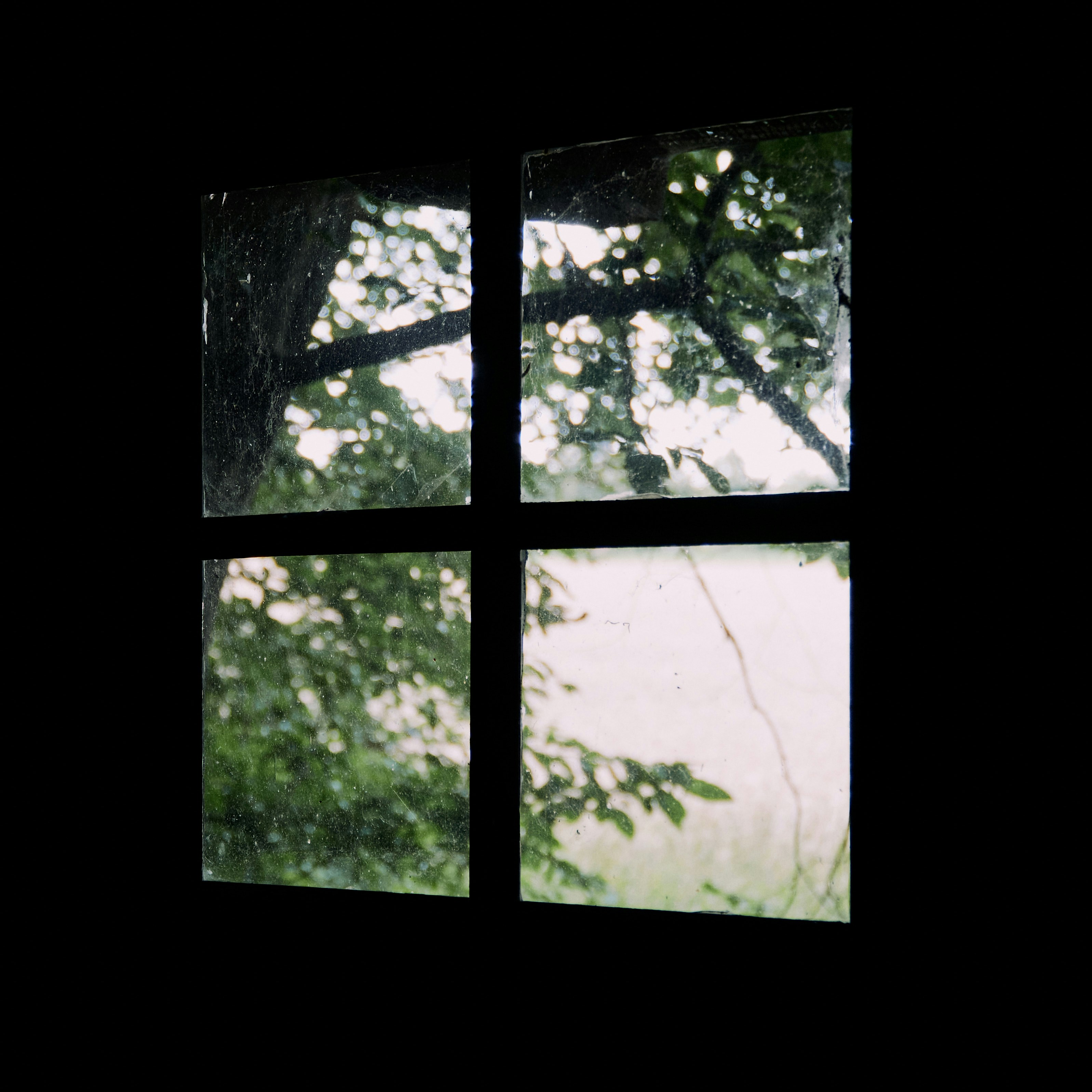 Windowsラップトップを探す旅に出たら着地点が見つからない話