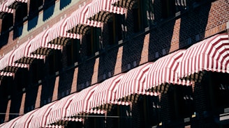 red and brown concrete building during daytime