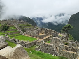 brown and gray concrete houses on green grass field under white cloudy sky during daytime