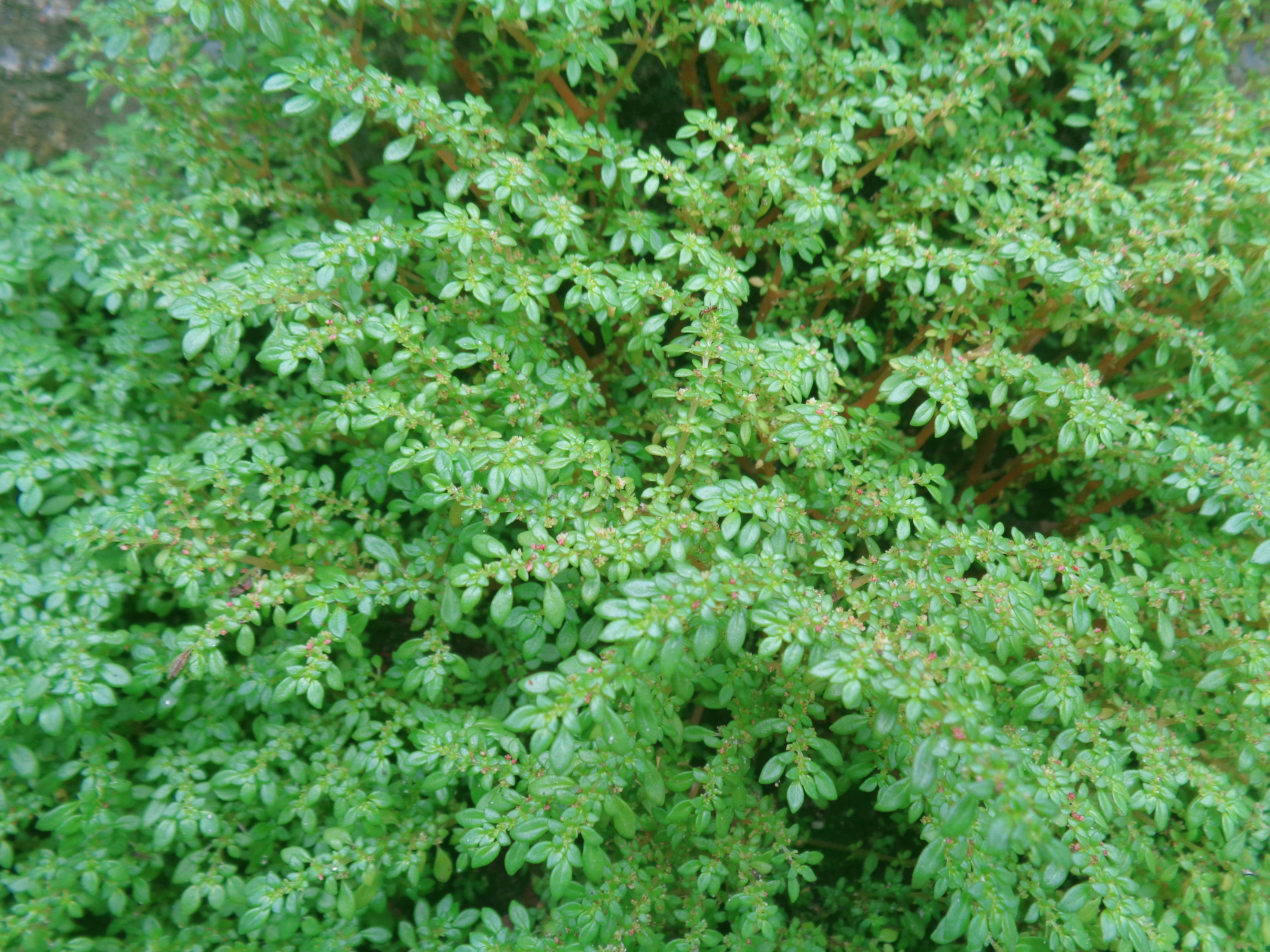 Photo by toufikul_islam