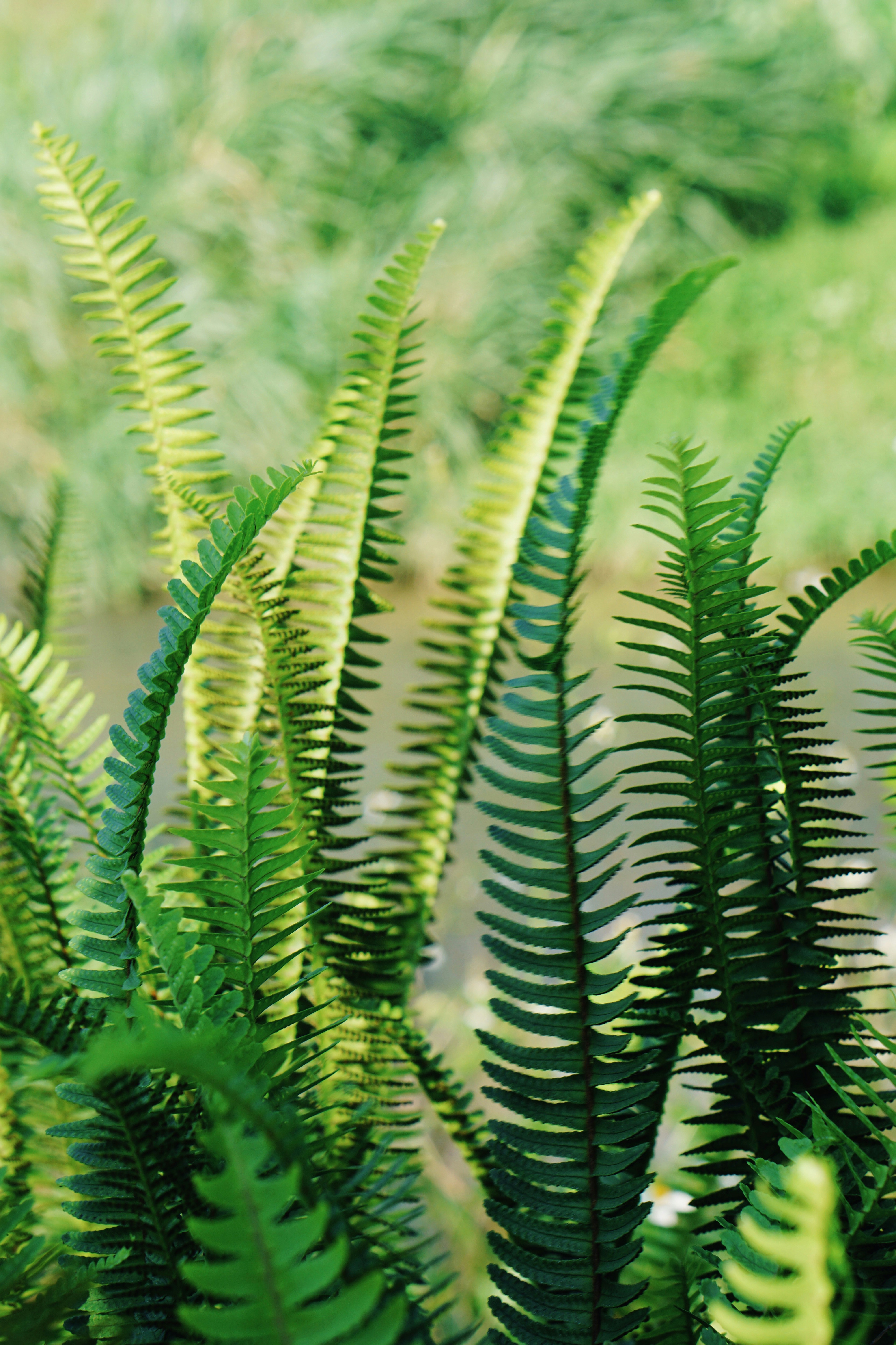 Photo by rippleqian2020