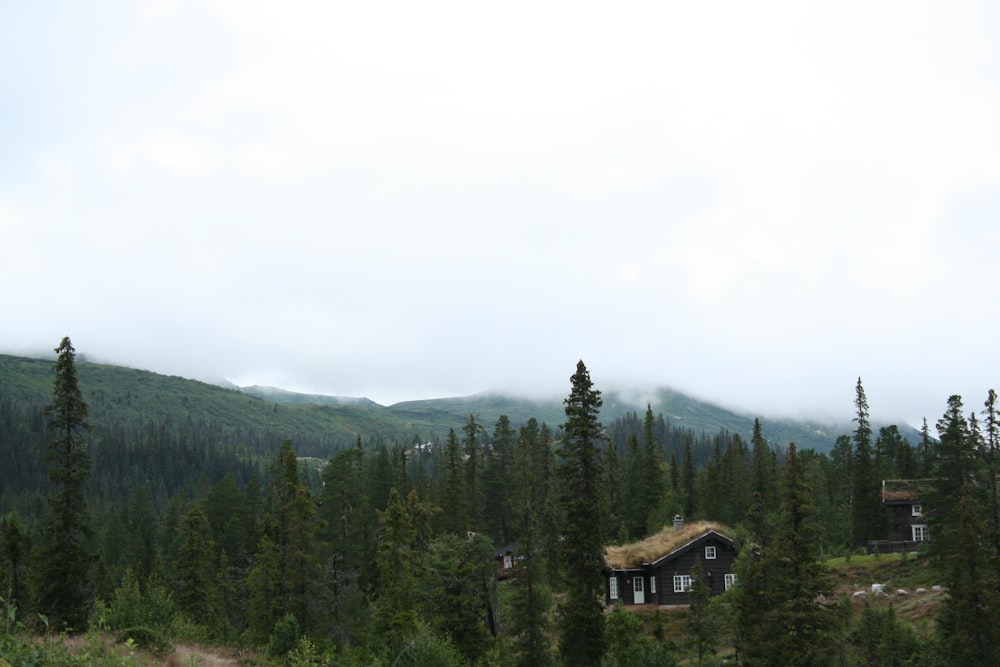 brown wooden house near green trees during daytime