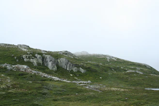 A serene Scottish landscape with mist rolling over rugged hills under soft morning light.