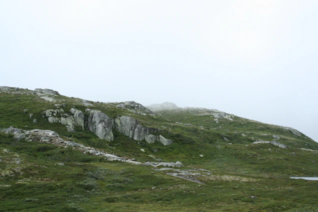 A serene Scottish landscape with mist rolling over rugged hills under soft morning light.