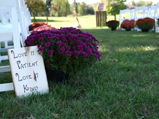 A serene outdoor setting with rows of white chairs on green grass, possibly set up for an event like a wedding. In the foreground, there is a pot of vibrant purple flowers beside a sign that reads, 'Love is Patient, Love is Kind.' Additional flower arrangements are visible in the background.
