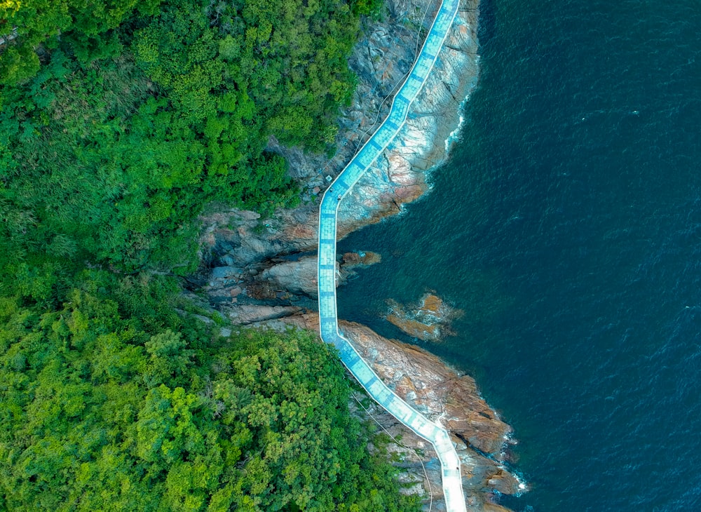 aerial view of road between green trees