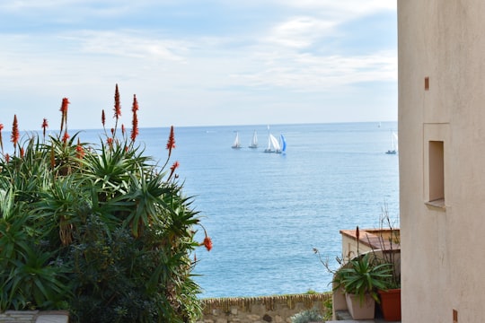 white sail boat on sea during daytime in Antibes France