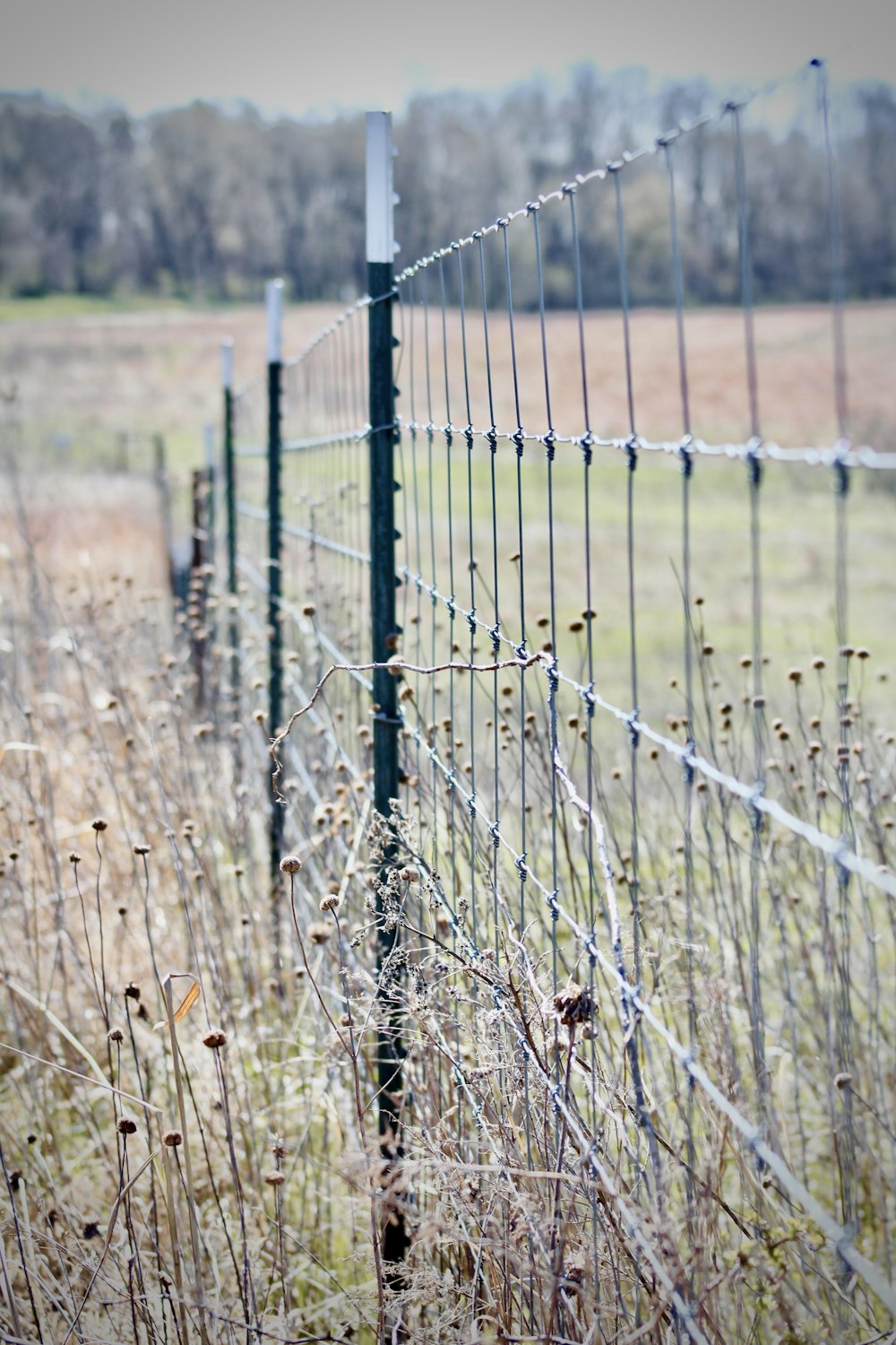 grey metal fence on brown grass field during daytime