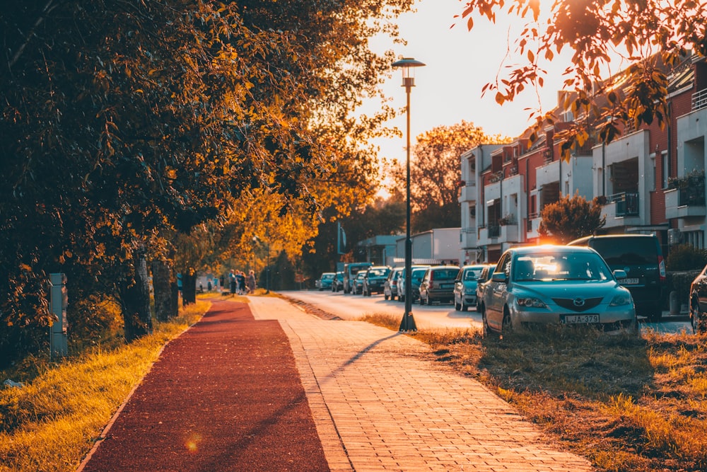 blue car parked beside green trees during daytime