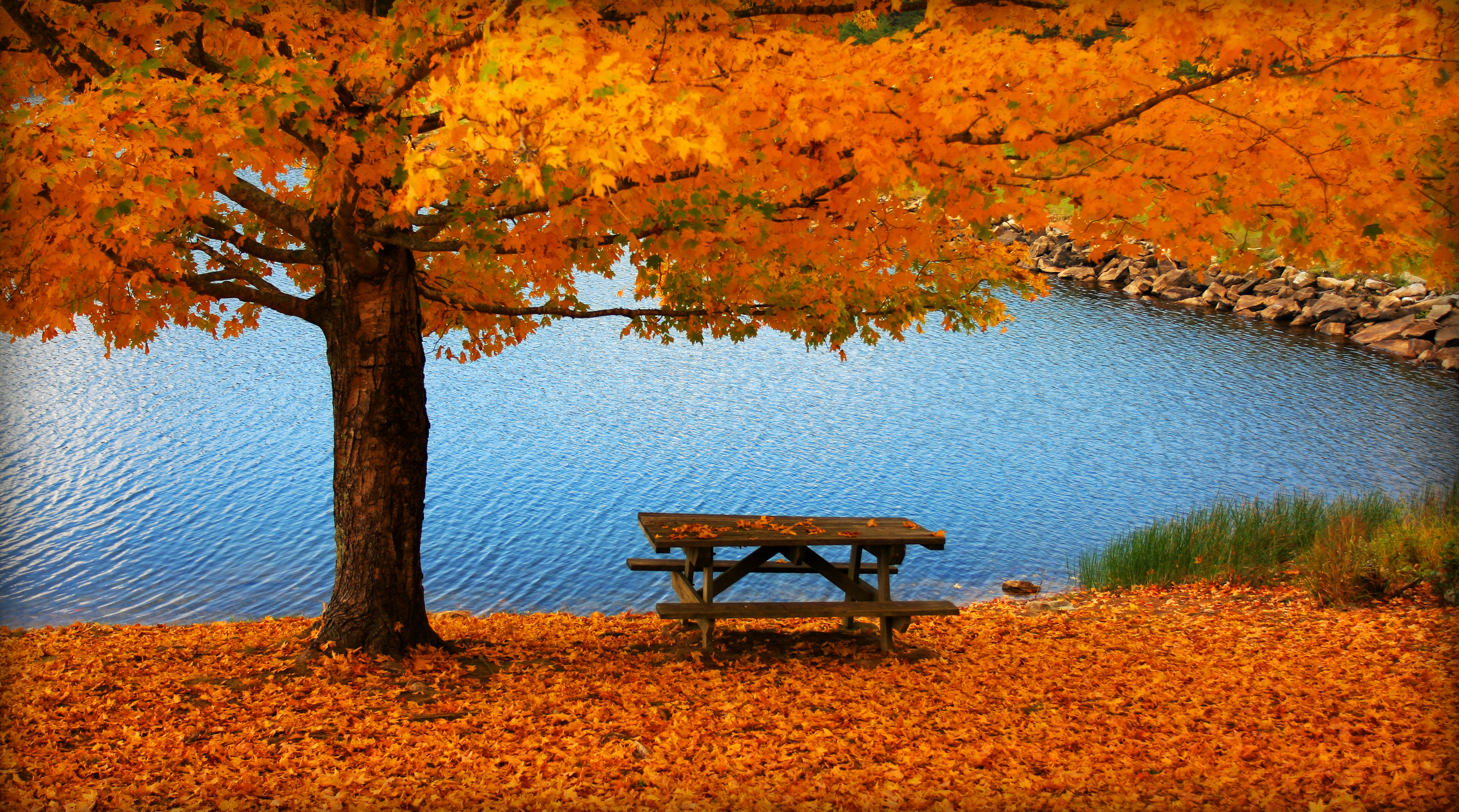 9 Earth-Tone Fall Lakehouse Tablescape Palettes