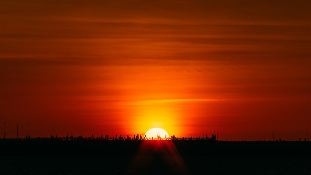 silhouette di alberi durante il tramonto