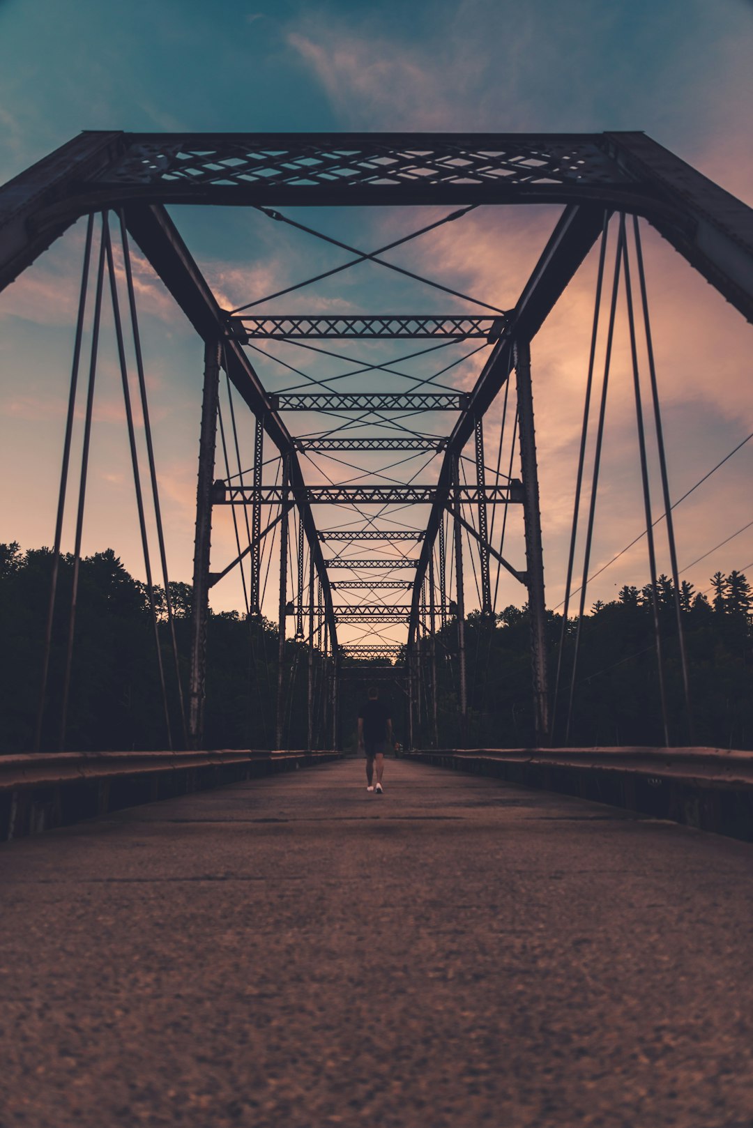 silhouette of trees under bridge during daytime