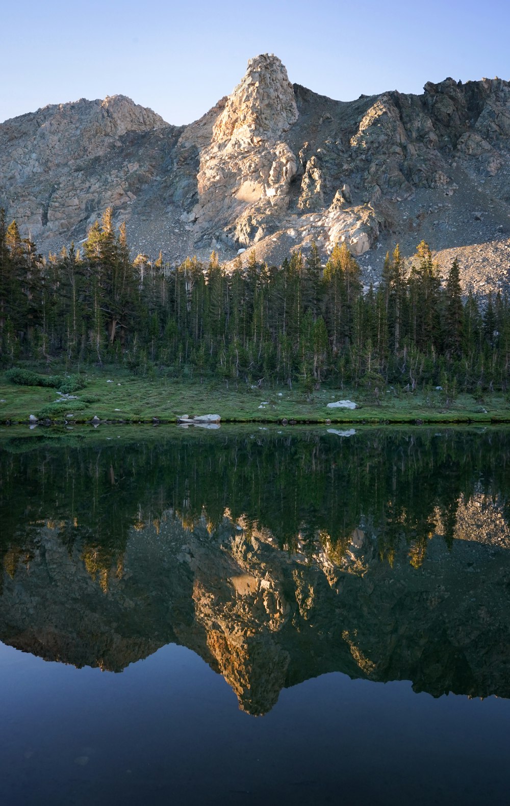 green pine trees near lake and mountain