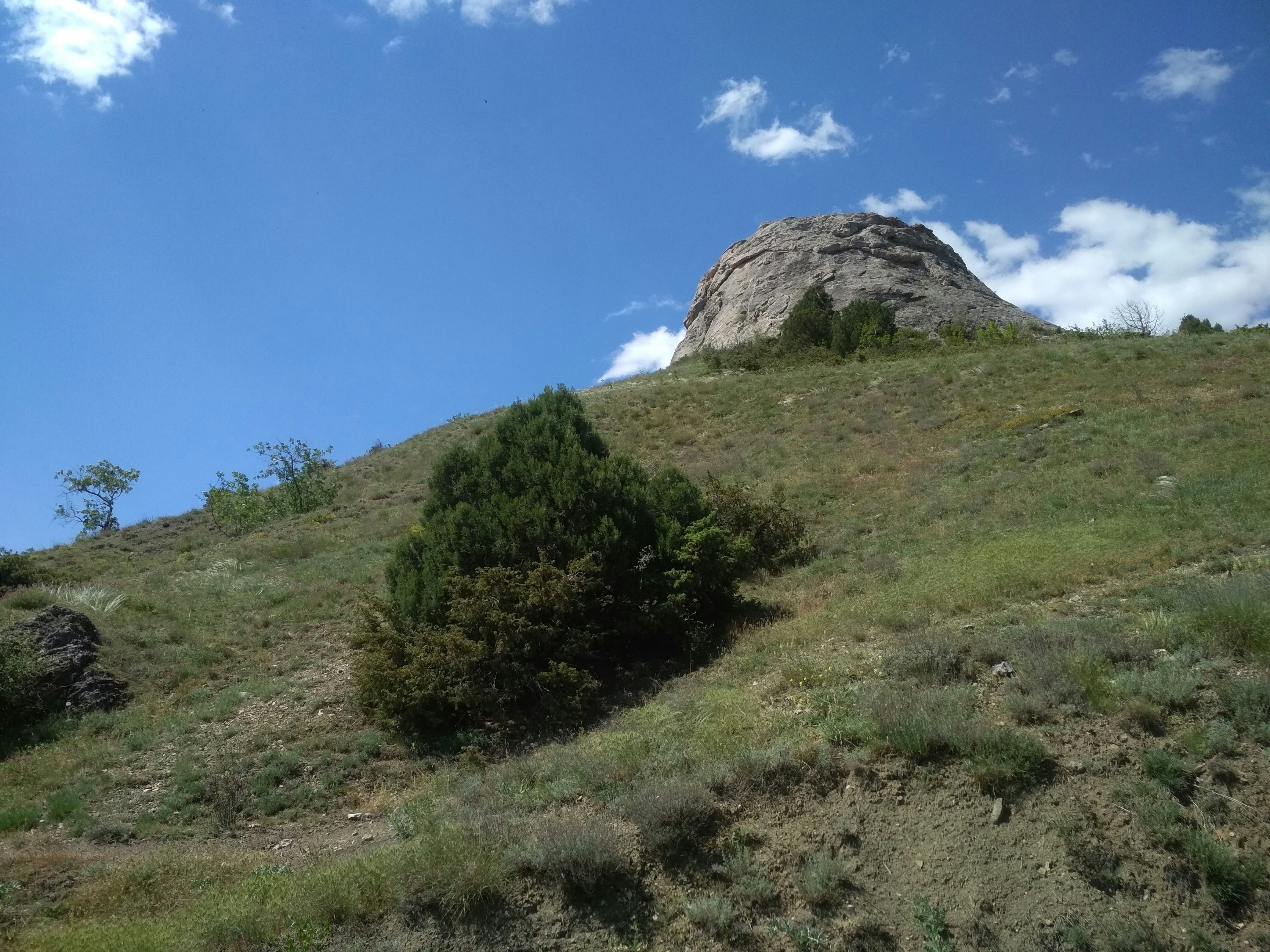 green grass field near mountain under blue sky during daytime