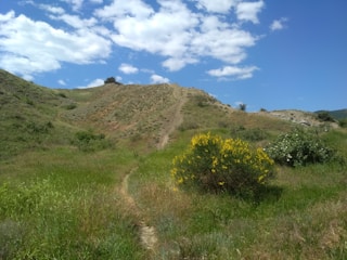 green grass field near mountain under blue sky during daytime
