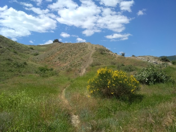 green grass field near mountain under blue sky during daytime