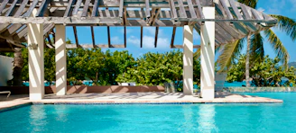swimming pool near green trees during daytime