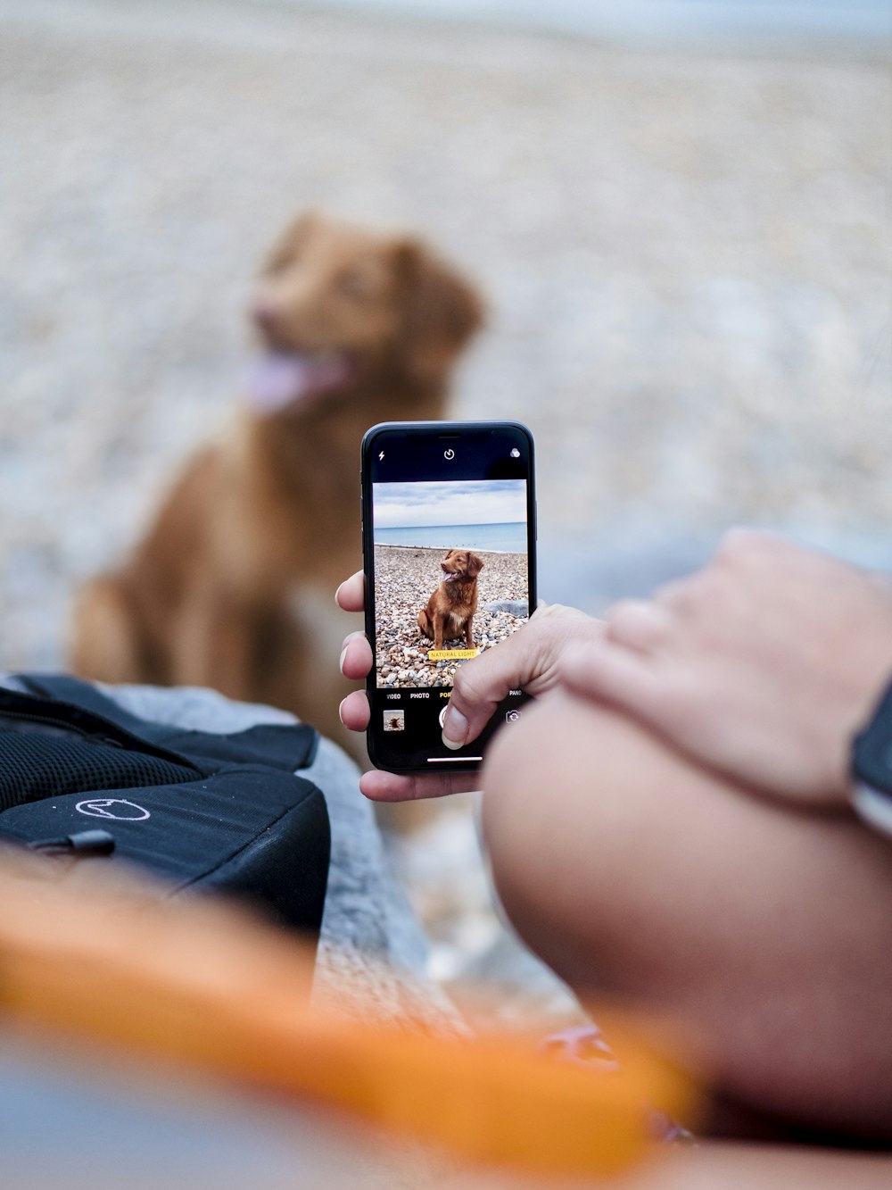 person holding iphone taking photo of brown rock formation during daytime