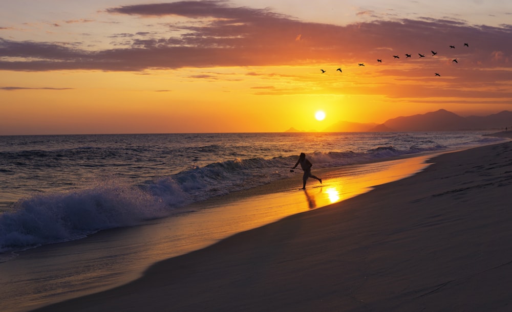 silhouette of 2 people walking on beach during sunset