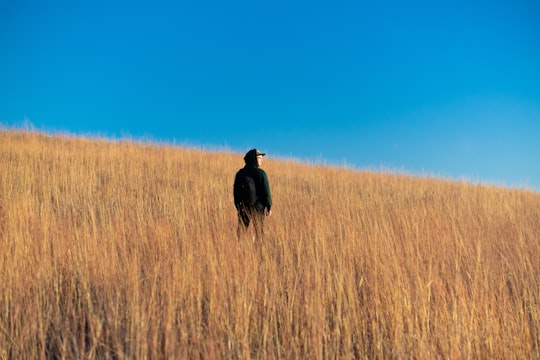 man in black jacket standing on brown grass field during daytime in Manhattan United States