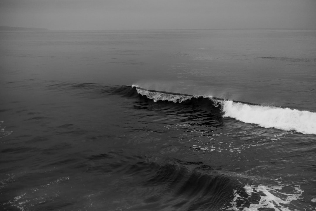 grayscale photo of ocean waves