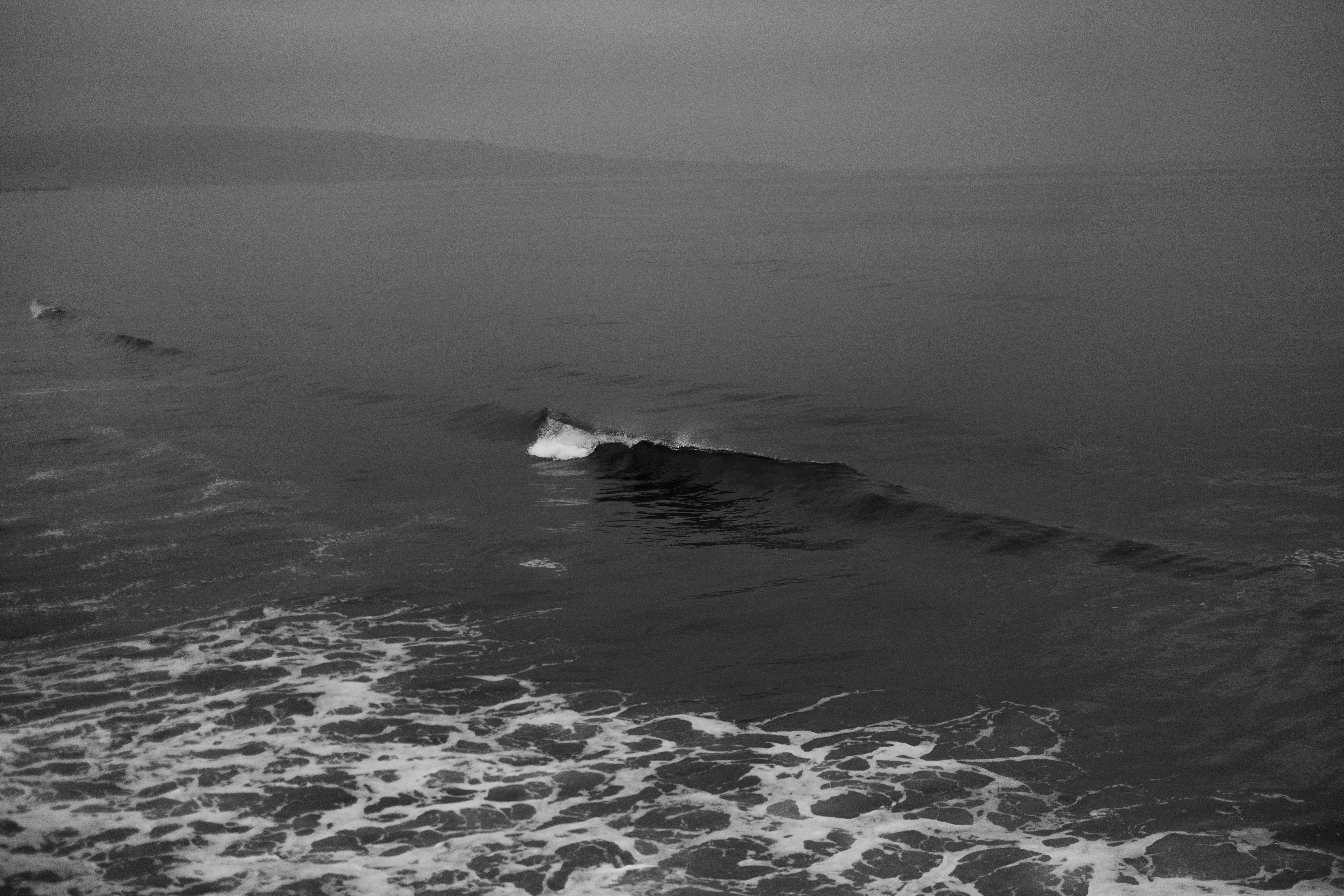 Photo by nate_dumlao