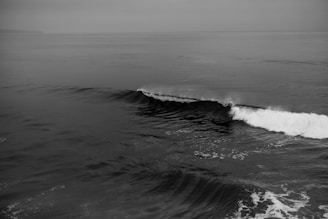 A black and white photograph of an ocean scene with a single wave breaking towards the shore. The water is calm, with gentle ripples, and the horizon is visible in the distance. The wave creates a striking contrast against the tranquil water surface.