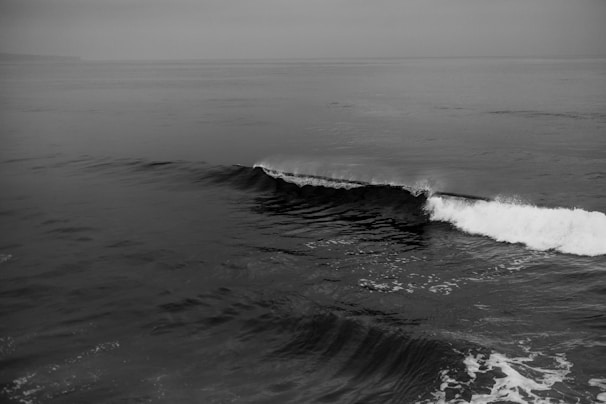 A dramatic black and white photograph of an ocean wave.